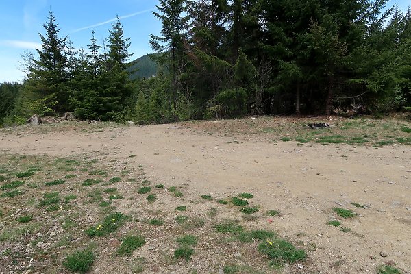 NF 48 Packwood USFS Gifford Pinchot - 55