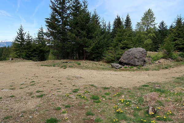 NF 48 Packwood USFS Gifford Pinchot - 62