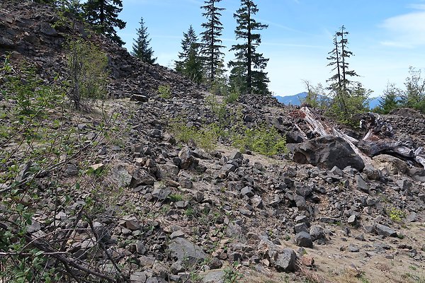 NF 48 Packwood USFS Gifford Pinchot - 40