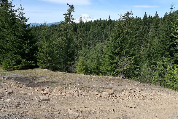 NF 48 Packwood USFS Gifford Pinchot - 31