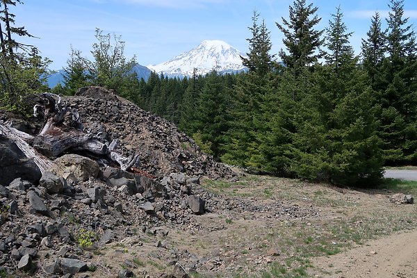NF 48 Packwood USFS Gifford Pinchot - 39