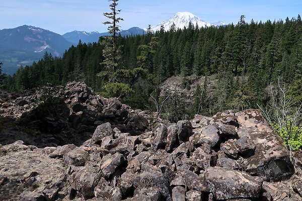NF 48 Packwood USFS Gifford Pinchot - 18