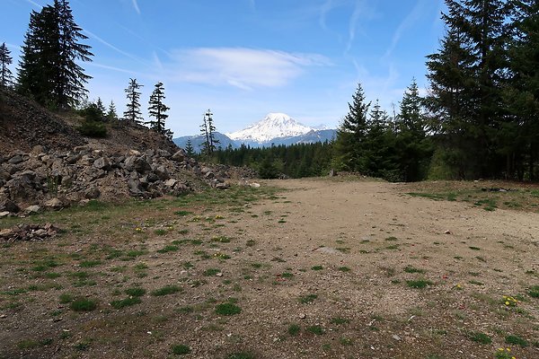 NF 48 Packwood USFS Gifford Pinchot - 61