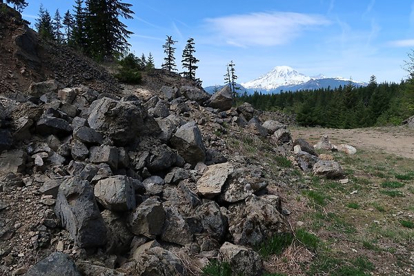NF 48 Packwood USFS Gifford Pinchot - 53