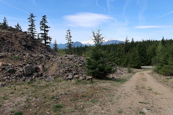 NF 48 Packwood USFS Gifford Pinchot - 48