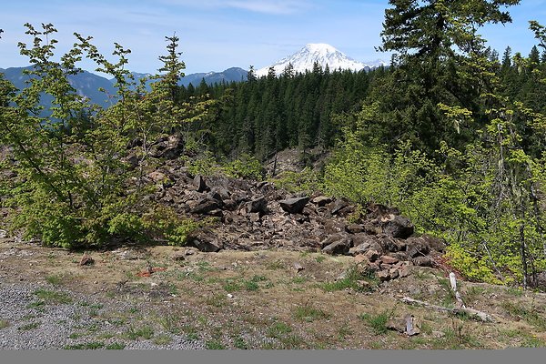 NF 48 Packwood USFS Gifford Pinchot - 23