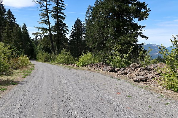NF48 USFS Packwood Mt Rainier area