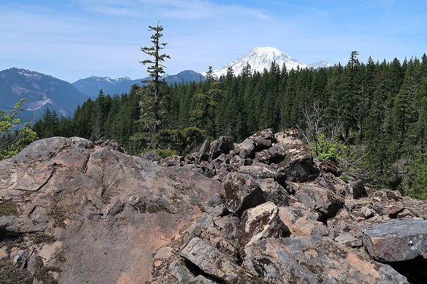 NF 48 Packwood USFS Gifford Pinchot - 14