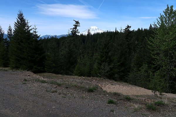 NF 48 Packwood USFS Gifford Pinchot - 28