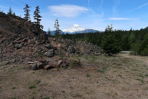 NF 48 Packwood USFS Gifford Pinchot - 51