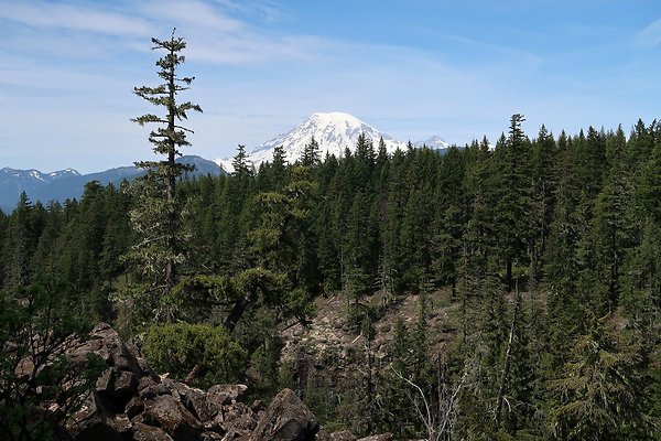 NF 48 Packwood USFS Gifford Pinchot - 21