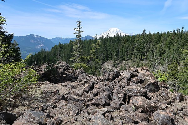 NF 48 Packwood USFS Gifford Pinchot - 16
