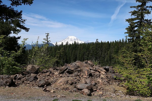 NF 48 Packwood USFS Gifford Pinchot - 15