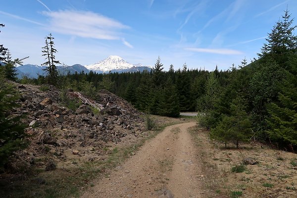 NF 48 Packwood USFS Gifford Pinchot - 65