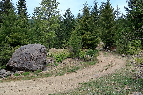 NF 48 Packwood USFS Gifford Pinchot - 59