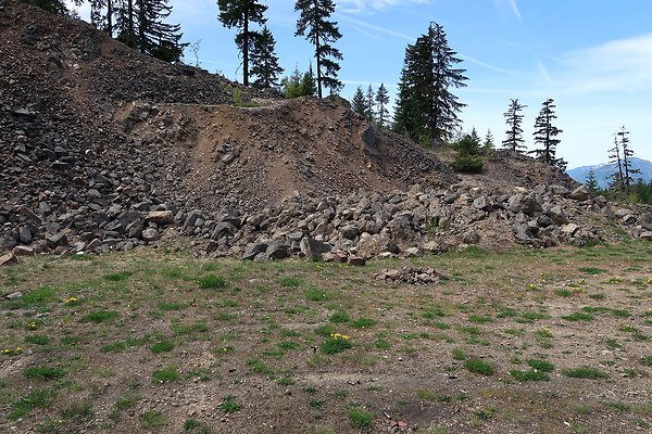 NF 48 Packwood USFS Gifford Pinchot - 60