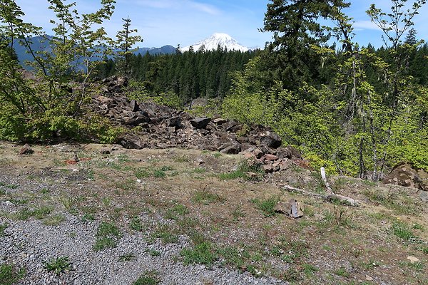 NF 48 Packwood USFS Gifford Pinchot - 12