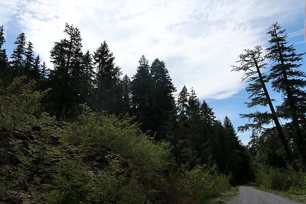 NF 48 Packwood USFS Gifford Pinchot - 26