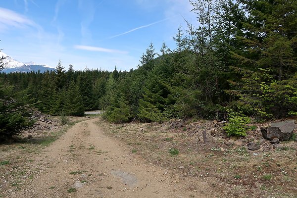 NF 48 Packwood USFS Gifford Pinchot - 49