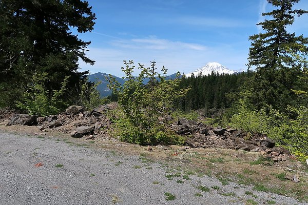 NF 48 Packwood USFS Gifford Pinchot - 2
