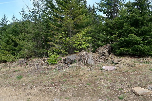 NF 48 Packwood USFS Gifford Pinchot - 50
