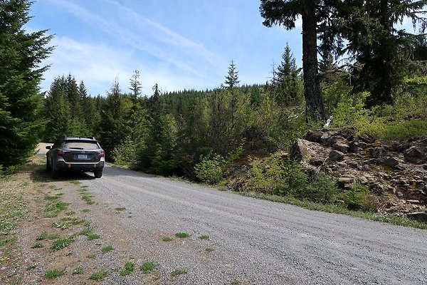 NF 48 Packwood USFS Gifford Pinchot - 7