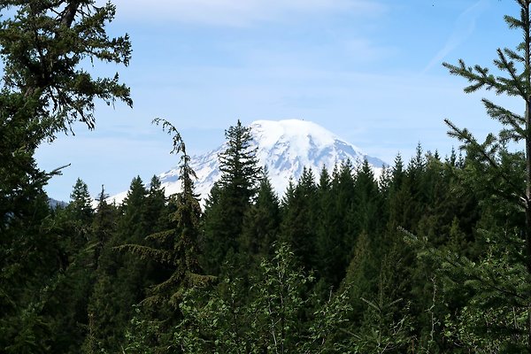 NF 48 Packwood USFS Gifford Pinchot - 36