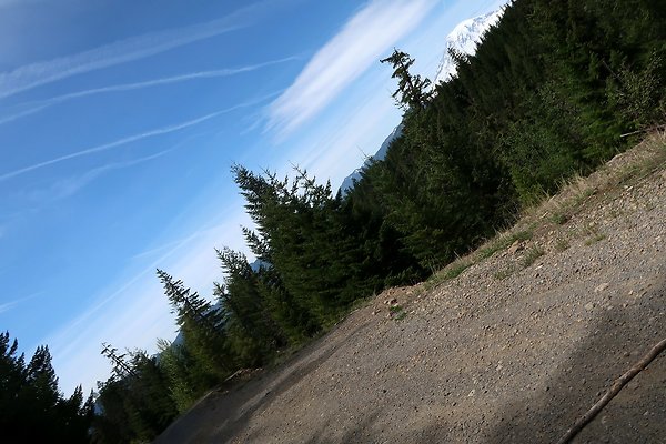 NF 48 Packwood USFS Gifford Pinchot - 29