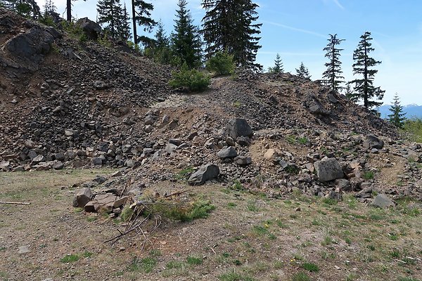 NF 48 Packwood USFS Gifford Pinchot - 47
