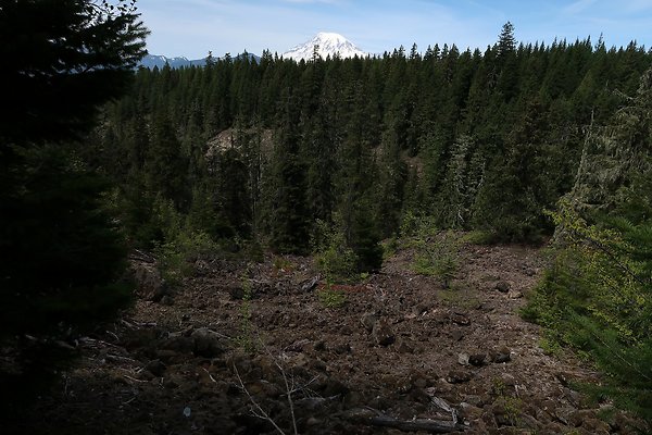 NF 48 Packwood USFS Gifford Pinchot - 24