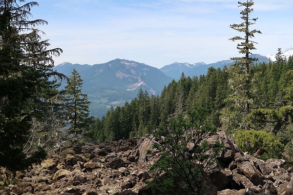 NF 48 Packwood USFS Gifford Pinchot - 20