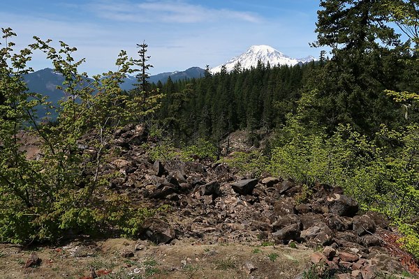 NF 48 Packwood USFS Gifford Pinchot - 13
