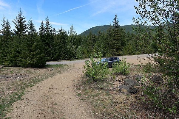 NF 48 Packwood USFS Gifford Pinchot - 42