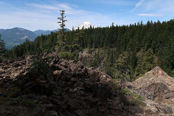 NF 48 Packwood USFS Gifford Pinchot - 19