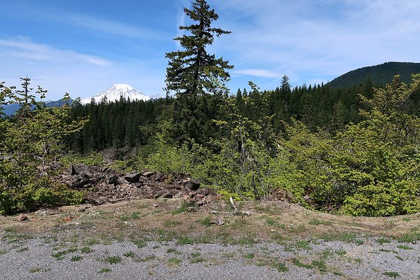 NF 48 Packwood USFS Gifford Pinchot - 3