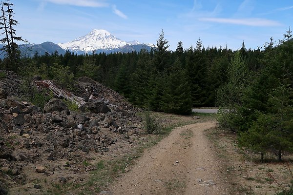 NF 48 Packwood USFS Gifford Pinchot - 66