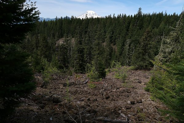 NF 48 Packwood USFS Gifford Pinchot - 25