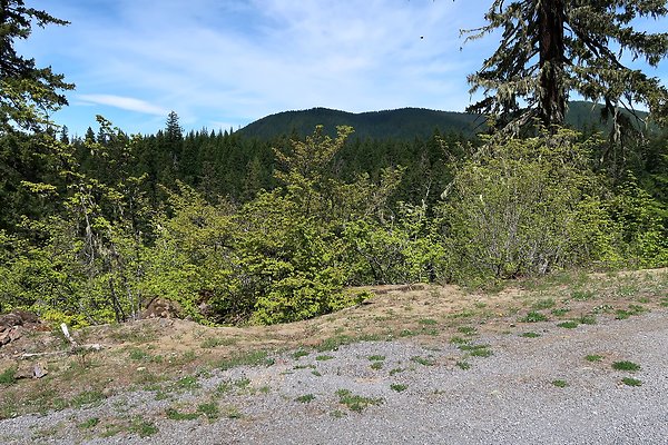 NF 48 Packwood USFS Gifford Pinchot - 4