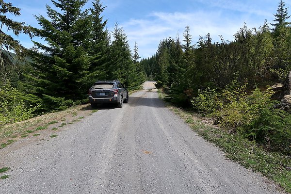 NF 48 Packwood USFS Gifford Pinchot - 6