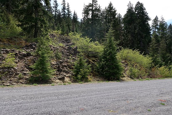 NF 48 Packwood USFS Gifford Pinchot - 9