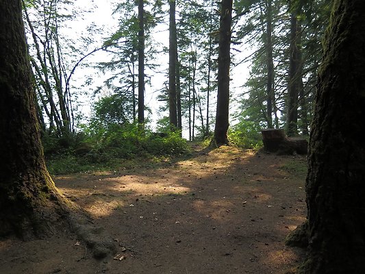 Horseshoe cove baker lake campground - 66
