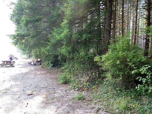 Horseshoe cove baker lake campground - 42