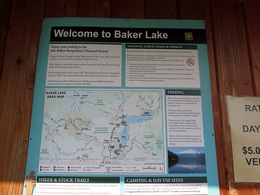 Horseshoe Cove Baker Lake Campground USFS