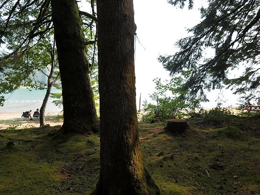 Horseshoe cove baker lake campground - 26