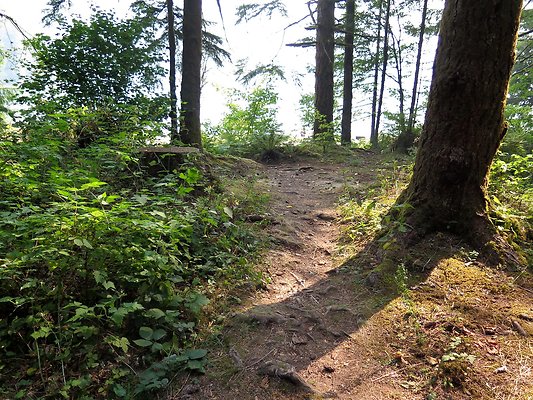 Horseshoe cove baker lake campground - 76