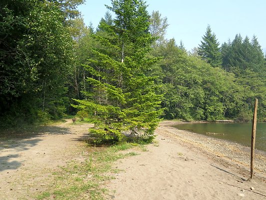 Horseshoe cove baker lake campground - 133