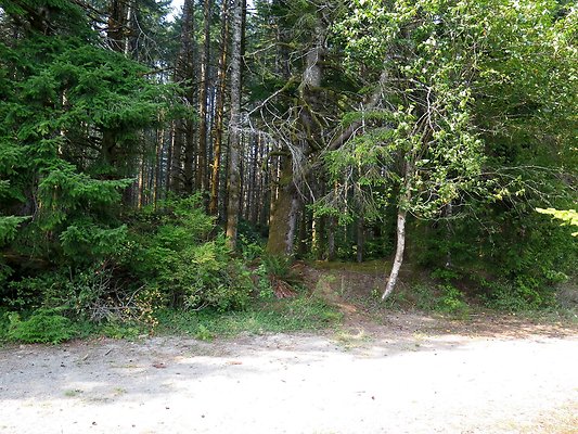 Horseshoe cove baker lake campground - 49