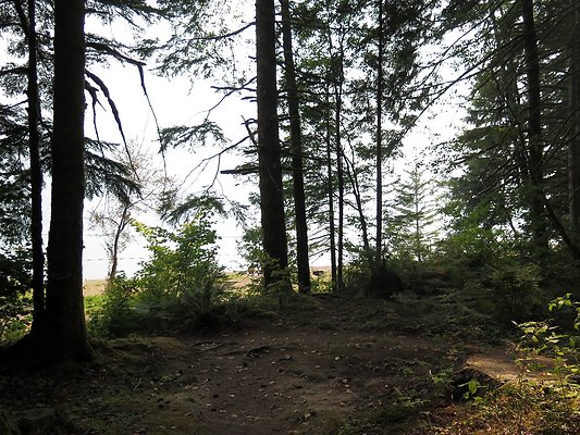 Horseshoe cove baker lake campground - 79