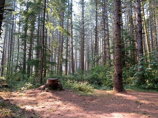 Horseshoe cove baker lake campground - 70