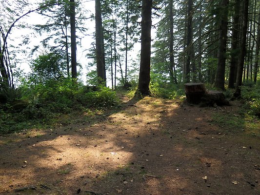 Horseshoe cove baker lake campground - 74
